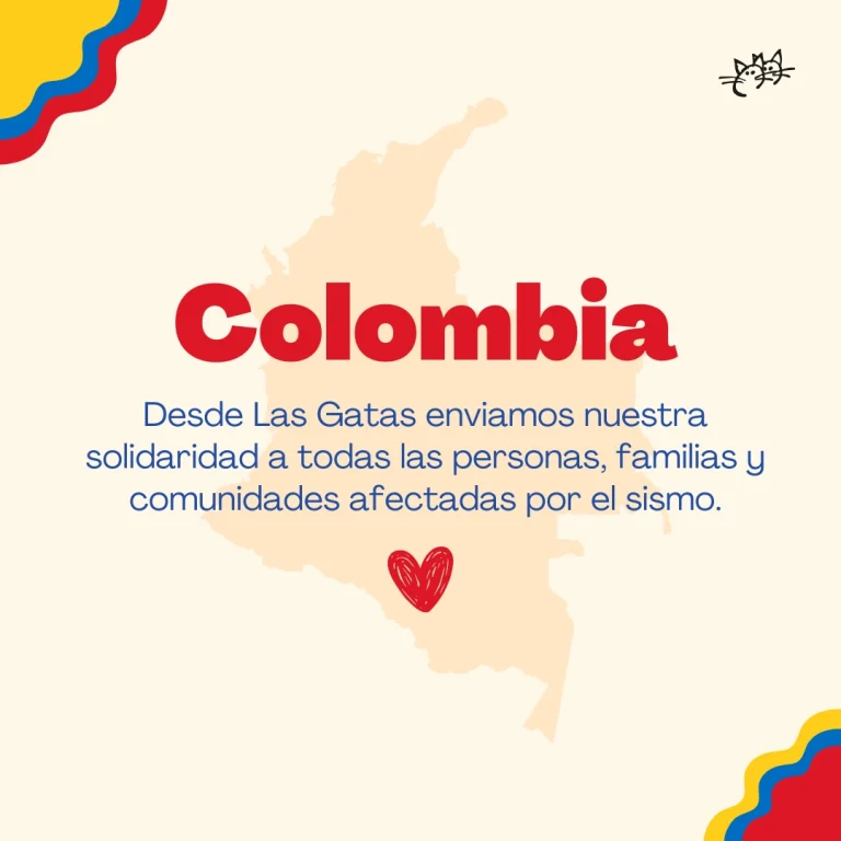 Instagram post from lasgatasoficial_. This post is in position 0.