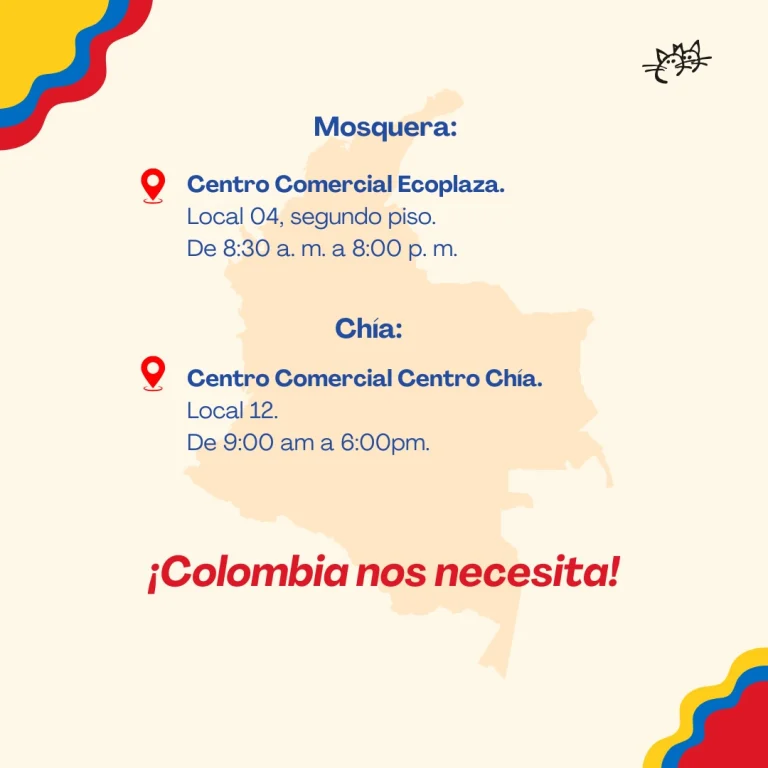Instagram post from lasgatasoficial_. This post is in position 2.